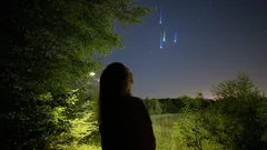 Pozorování padajících hvězd na noční obloze v přírodě, silueta člověka a stromy.